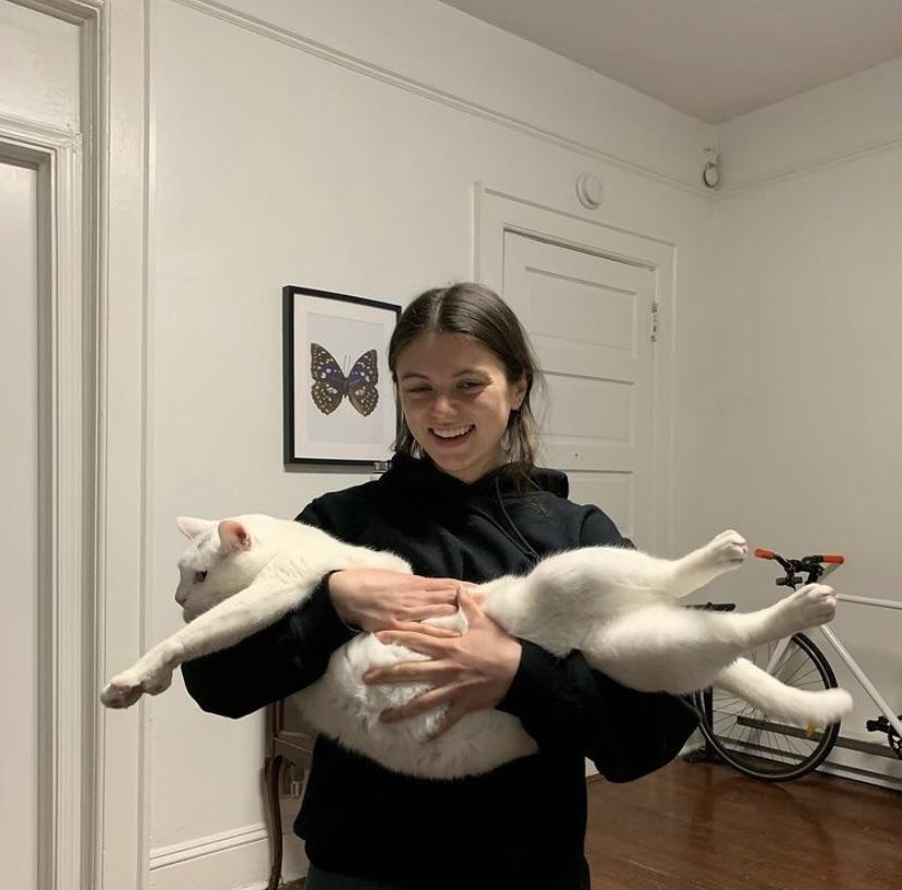 девушка держит на руках белого кота