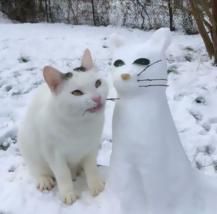 кот рядом со снеговиком