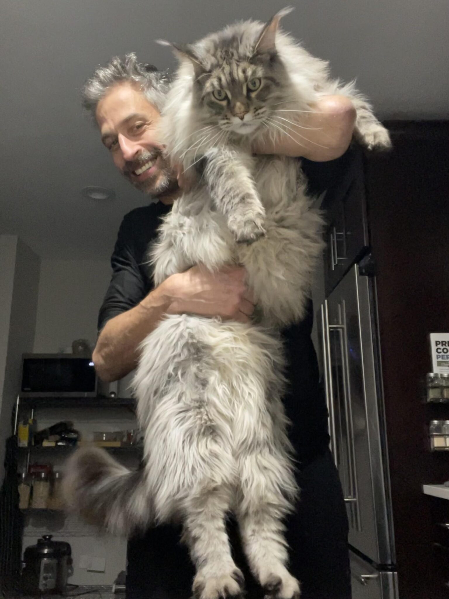мужчина держит огромного кота