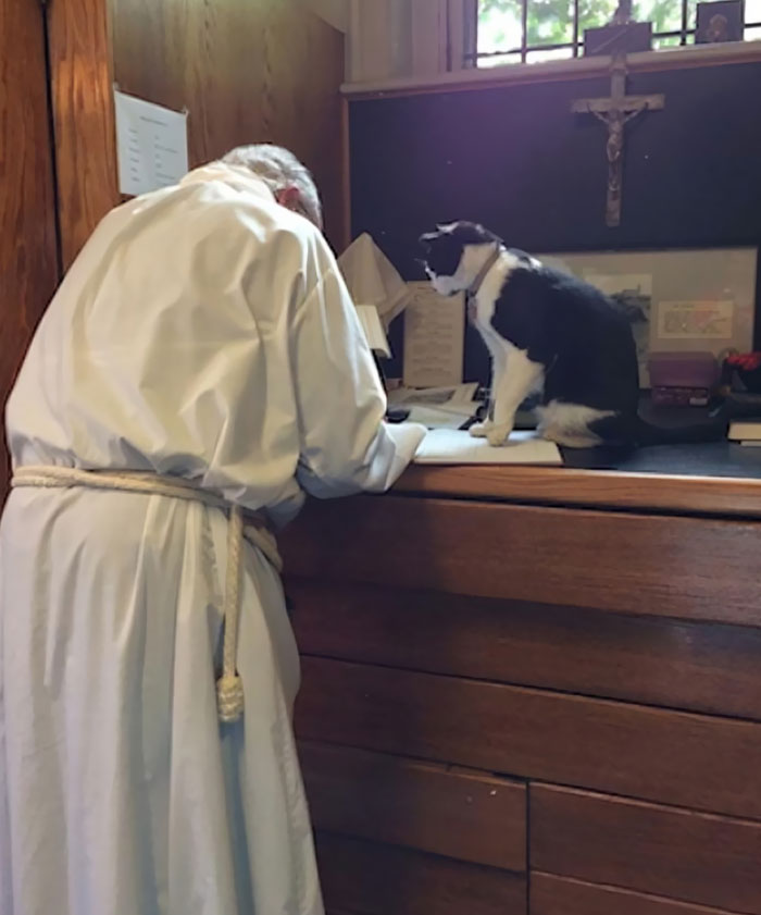 кот и священник