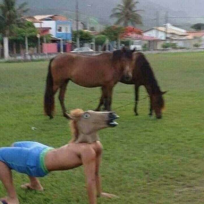 лошади и мужчина в маске коня
