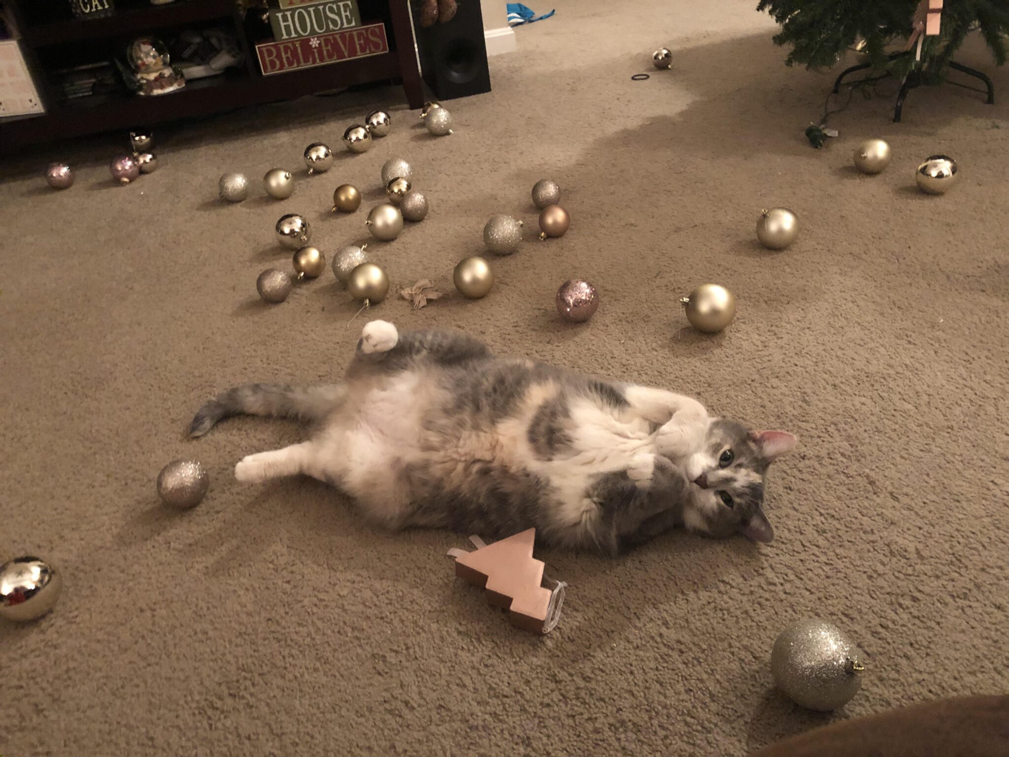 кошка лежит на полу в окружении елочных шаров