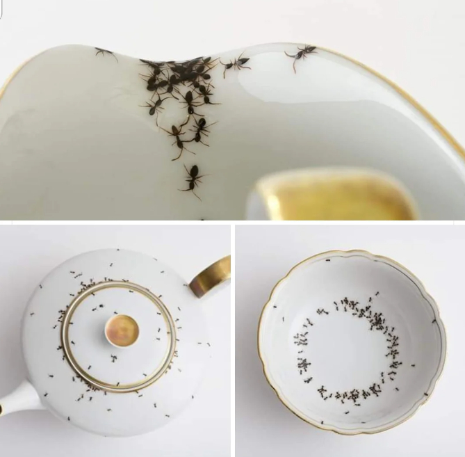 рисунок муравьев на посуде